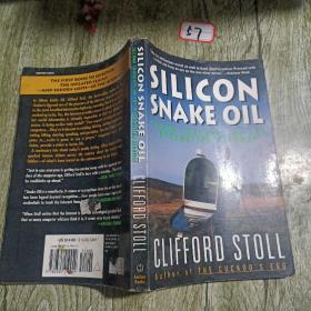 SILICON SNAKE OIL