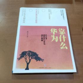 华为靠什么：任正非创业史与华为成长揭秘