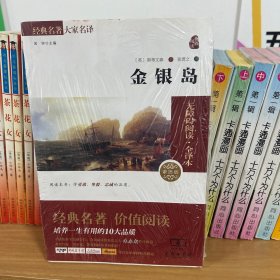 经典名著 大家名译：金银岛（无障碍阅读·全译本）