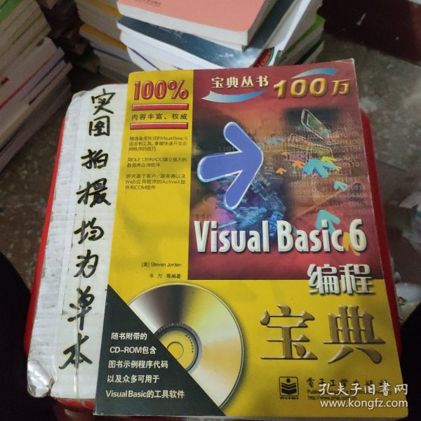 Visual Basic 6编程宝典——计算机宝典丛书