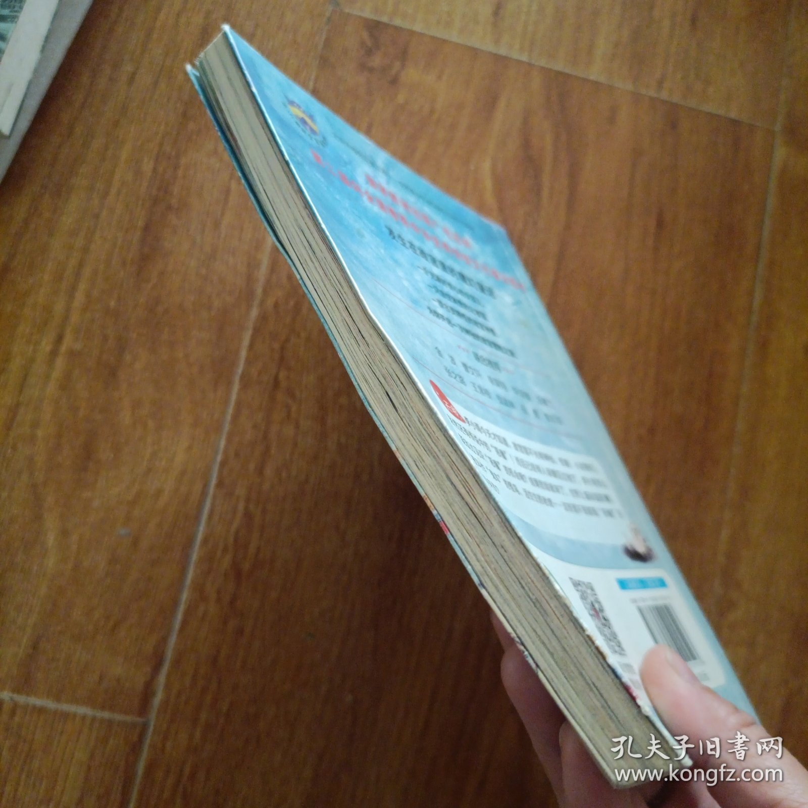 故宫里的大怪兽——恶魔龙的真相