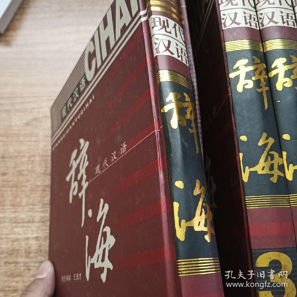 现代汉语辞海（1-4）