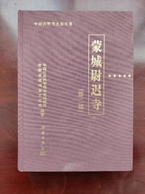 蒙城尉迟寺（第2部）中国田野考古报告集 新石器时代聚落 考古发掘报告