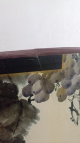 王其华葡萄画集