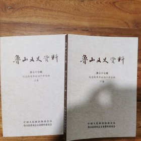鲁山文史资料 第三十七辑 上下卷
