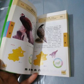 北京野鸟图鉴