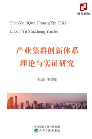 產(chǎn)業(yè)集群創(chuàng)新體系理論與實證研究