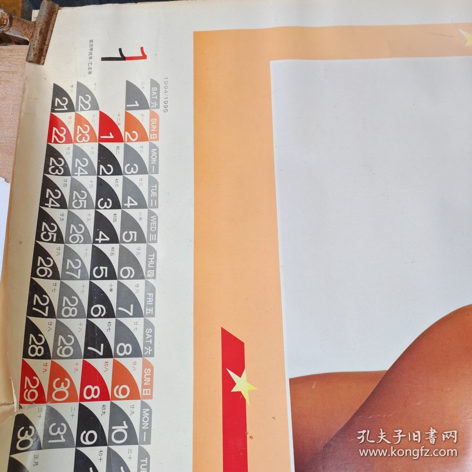 西洋佳丽（ 1994 1995 挂历 ）