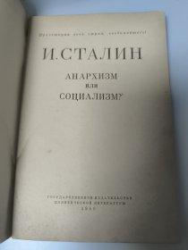 АНАРХИЗМ или СОЦИАЛИЗМ? 无政府主义还是社会主义？