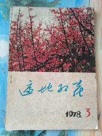 遍地红花1978年第三期