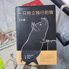 一只特立独行的猪