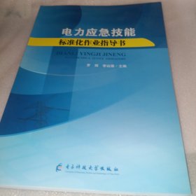 电力应急技能标准化作业指导书