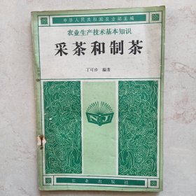 采茶和制茶