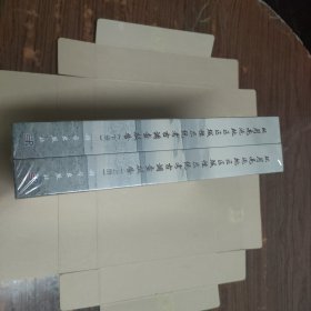 环月亮泡地区区域性系统考古调查报告（上下册）