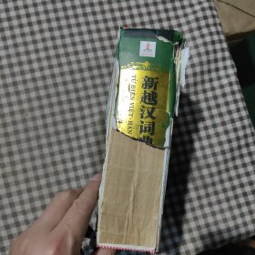 东南亚国家语言辞书系列:新越汉词典
