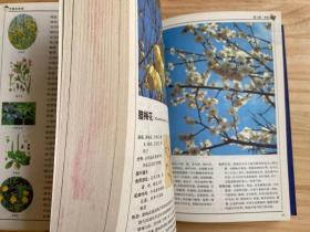 319种中国野菜图鉴.