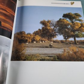 中国北方草原古代金银器