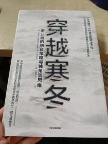 穿越寒冬:《让大象飞》作者的全新破冰力作