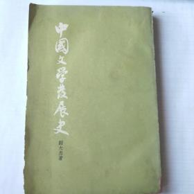中国文学发展史（中）