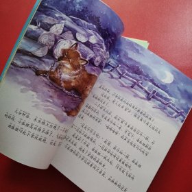西顿动物小说全集5本合售