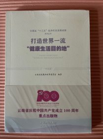 云南省十三五经济社会发展成就系列丛书（打造世界一流健康生活目的地）