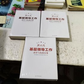 新时代基层领导工作改革与发展实务（上中下）