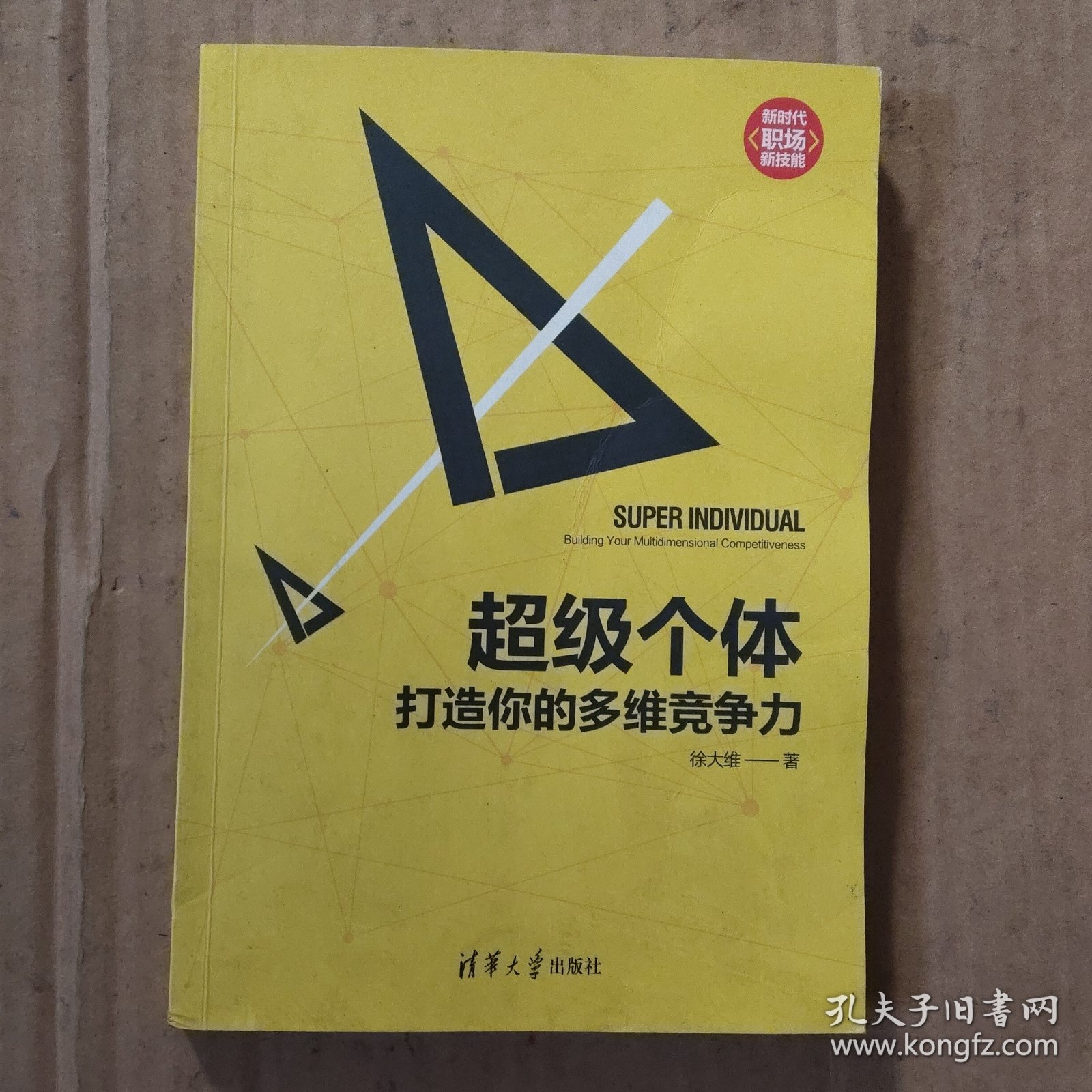 超级个体：打造你的多维竞争力