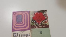 怎样养好杜鹃花+杜鹃花(2本合售)