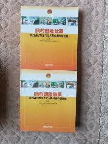 我的避险故事（上下册）