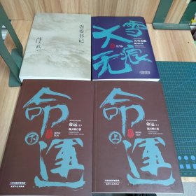 陆天明当代作品精选：命运、大雪无痕、省委书记（四册合售）