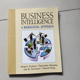 business intelligence: a managerial approach（大16开英文原版）