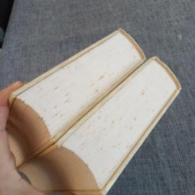 B20.舆地广记(上下册)一版一印