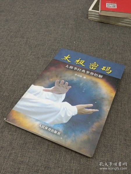 太极密码：太极拳经典拳势悟解