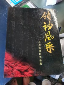 领袖风采:吕厚民摄影作品集