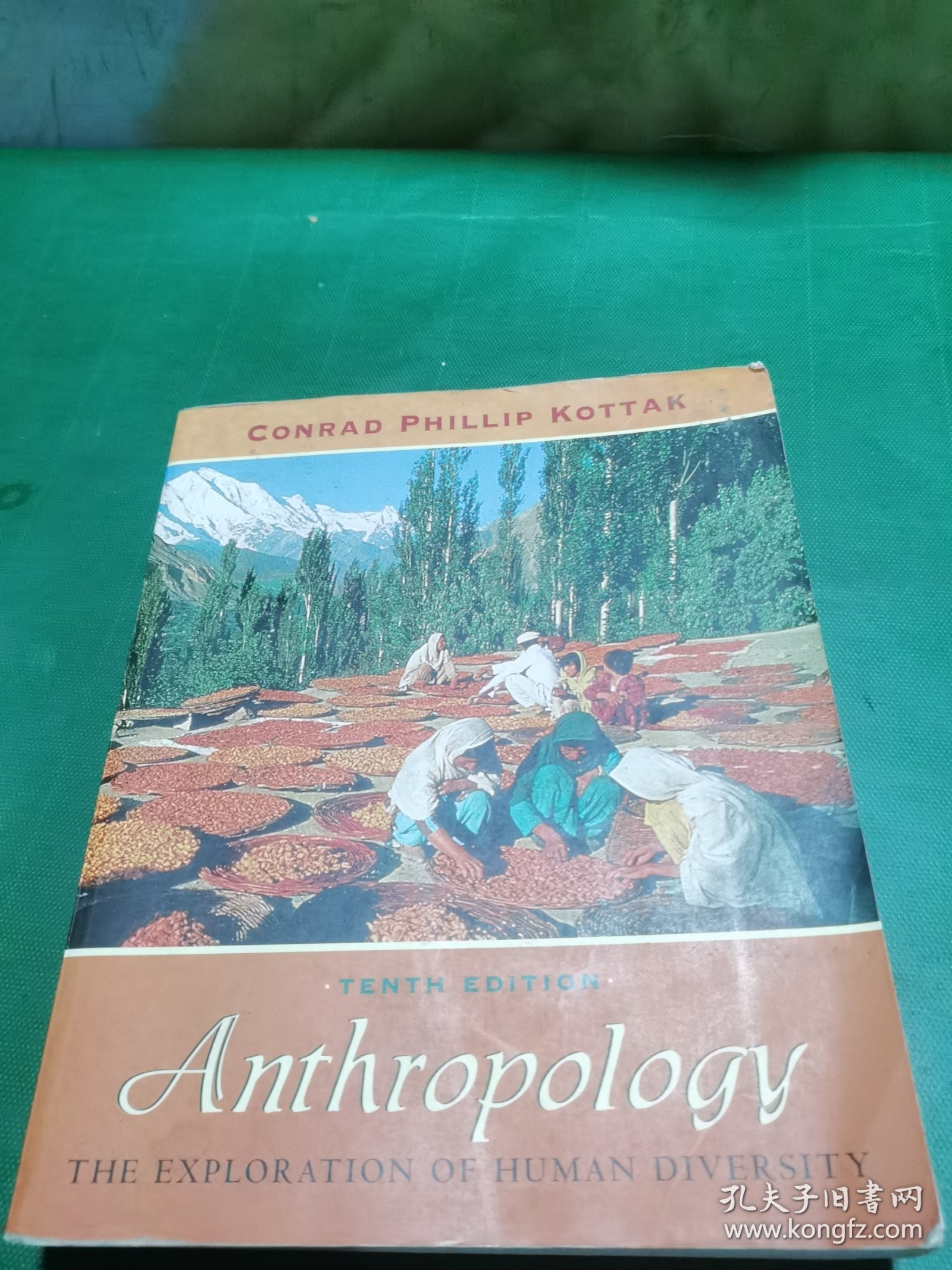 Anthropology：The Exploration of Human Diversity (NAI Text Alone)，人类学