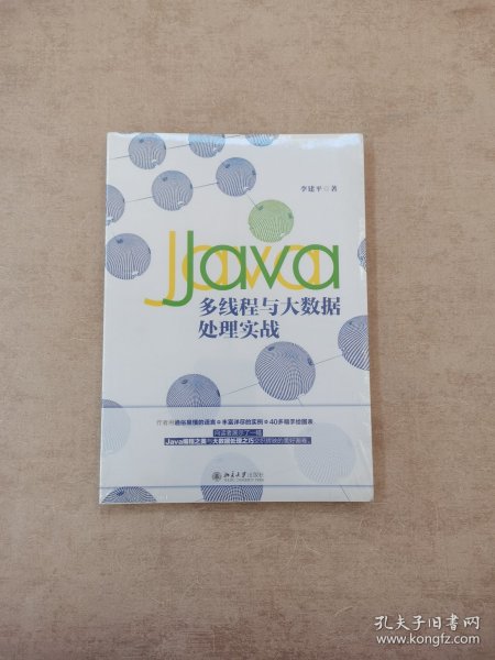 Java多线程与大数据处理实战