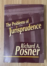 The Problems of Jurisprudence