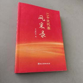 二十大代表风采录