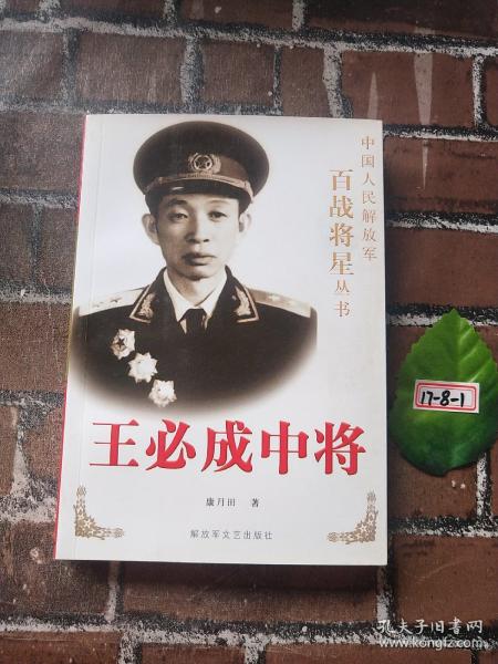 王必成中将