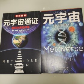 元宇宙通证：元宇宙：浓缩元宇宙精华，通向未来的护照(经济学家朱嘉明，金融博物馆理事长王巍作序推荐）二本合售