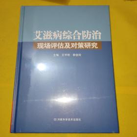 艾滋病综合防治现场评估及对策研究