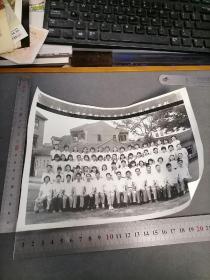 上海幼儿师范学校八三届五班全体师生留影 照片尺寸 22X15CM