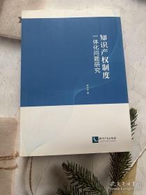 知识产权制度一体化问题研究