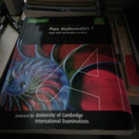 pure mathematics 1