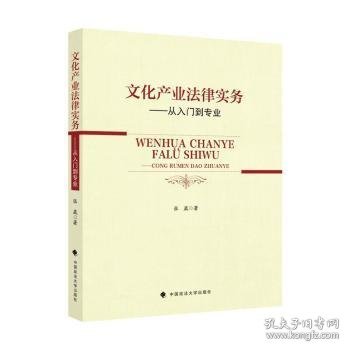 文化产业法律实务——从入门到专业张崴法律律师实务社科专著中国政法大学出版社