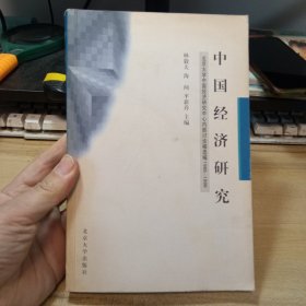 中国经济研究：北京大学中国经济研究中心内部讨论稿选编，1995-1999