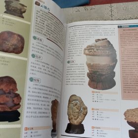 奇石 中国艺术品收藏鉴赏全集：典藏版