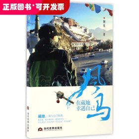 风马：在藏地幸遇自己