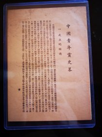 中国青年党史略