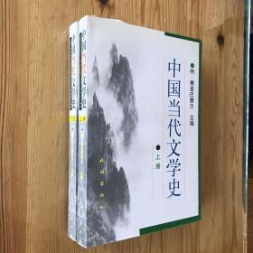 中国当代文学史